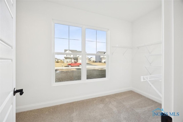 walk in closet featuring carpet