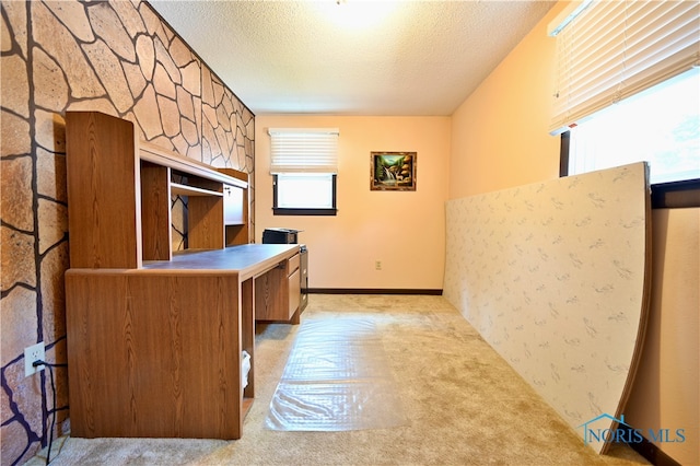 unfurnished office featuring a textured ceiling and light colored carpet