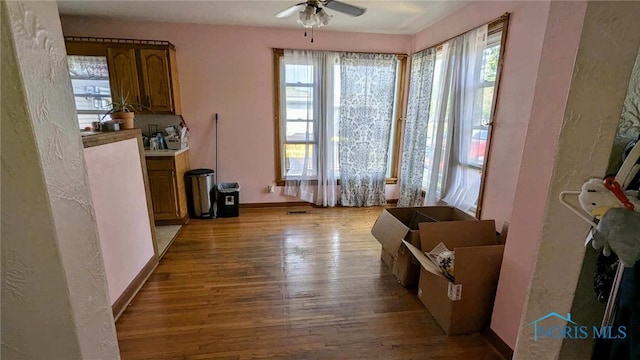 interior space featuring light wood-type flooring, ceiling fan, and a wealth of natural light