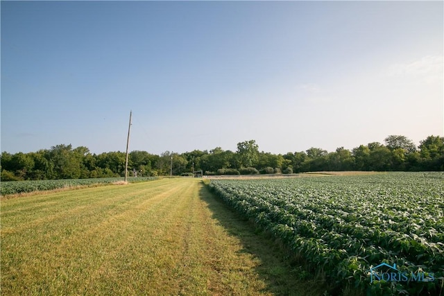 view of yard with a rural view