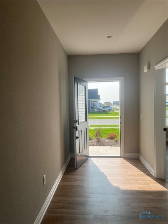 entryway featuring hardwood / wood-style flooring