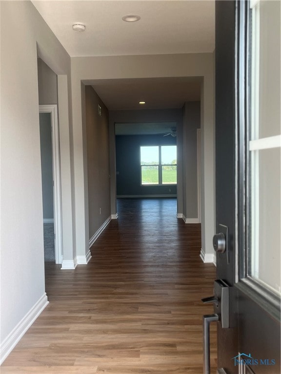 hallway with wood-type flooring