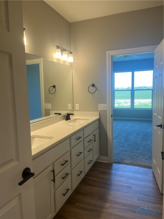 bathroom with hardwood / wood-style flooring and vanity