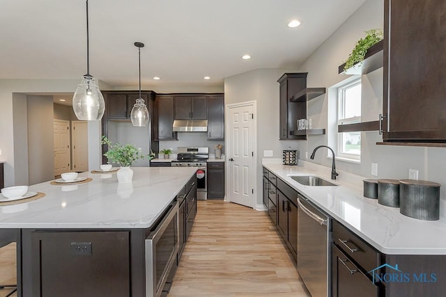 kitchen featuring open shelves, dark brown cabinets, a sink, light wood-type flooring, and appliances with stainless steel finishes