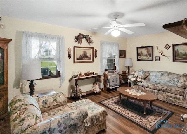 living room with ceiling fan and hardwood / wood-style floors