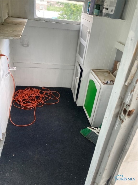 clothes washing area featuring carpet floors