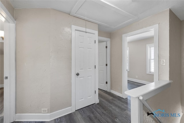 interior space with dark hardwood / wood-style flooring