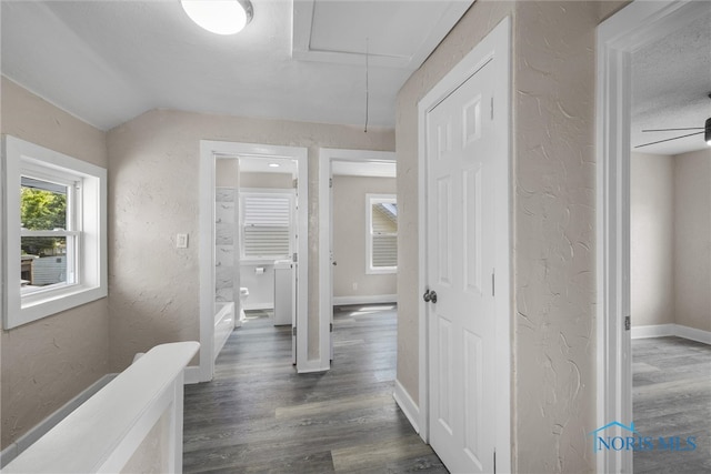 hall featuring dark hardwood / wood-style flooring