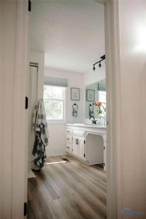 bathroom featuring rail lighting, vanity, and hardwood / wood-style floors