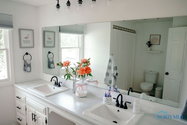 bathroom with plenty of natural light, toilet, and vanity