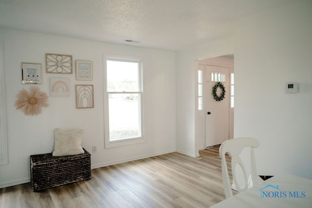 entryway with a wealth of natural light and light hardwood / wood-style flooring