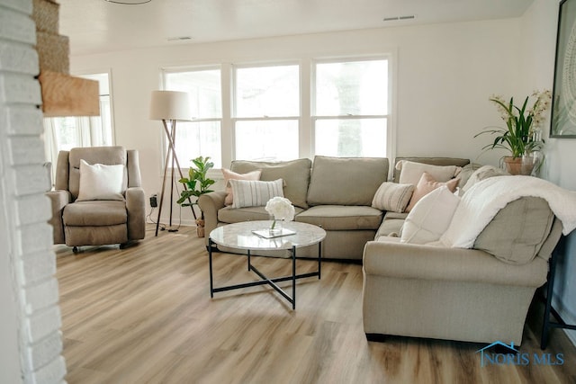 living room with a wealth of natural light and light hardwood / wood-style flooring