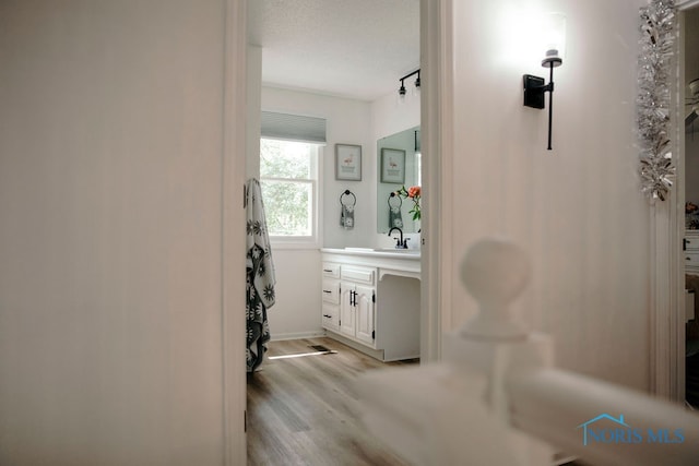 bathroom featuring hardwood / wood-style flooring and vanity