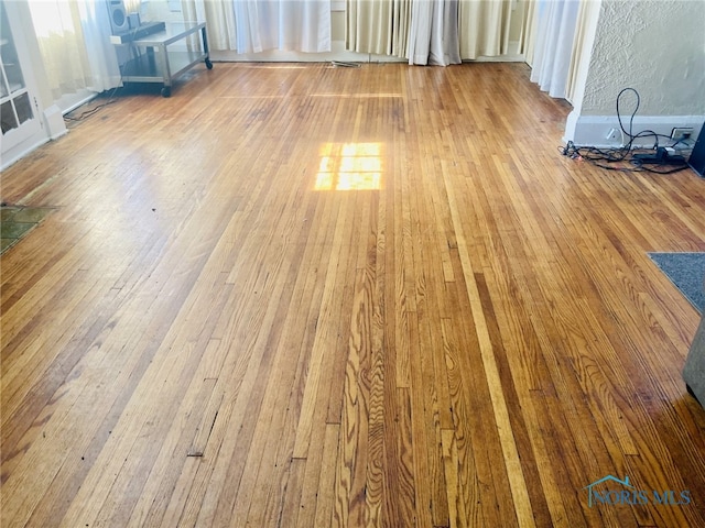 interior space featuring hardwood / wood-style floors