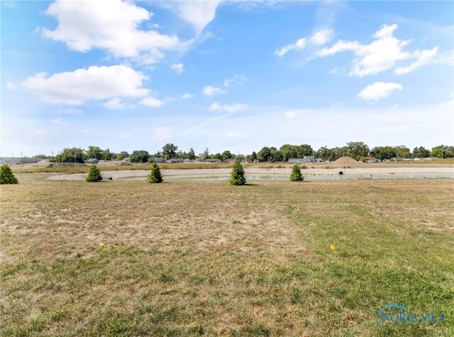 view of yard featuring a rural view