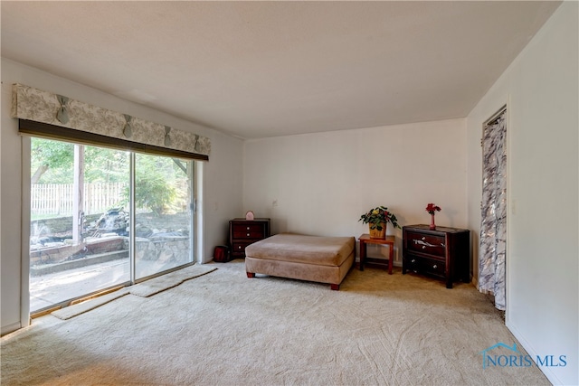 living area with carpet