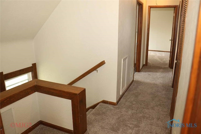 hallway featuring lofted ceiling and carpet