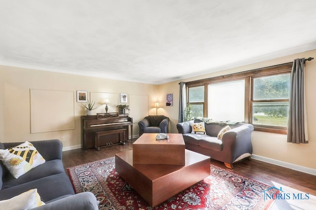 living room featuring dark hardwood / wood-style flooring