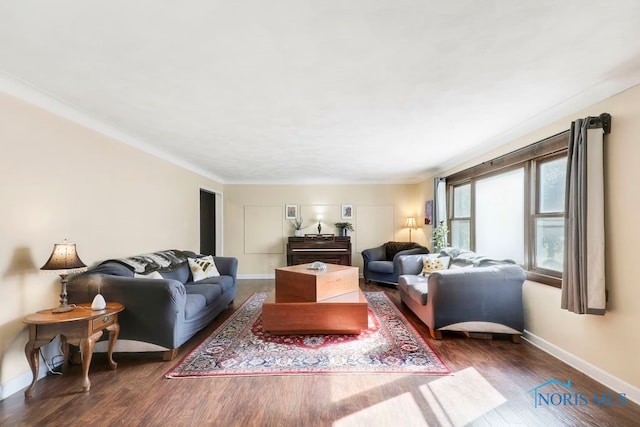 living room featuring dark hardwood / wood-style floors and crown molding