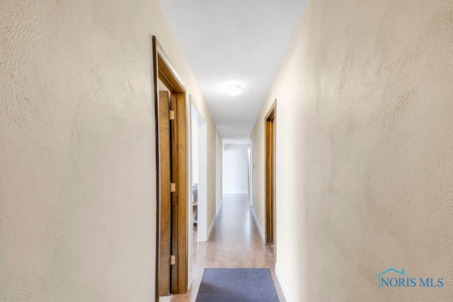 corridor with wood-type flooring