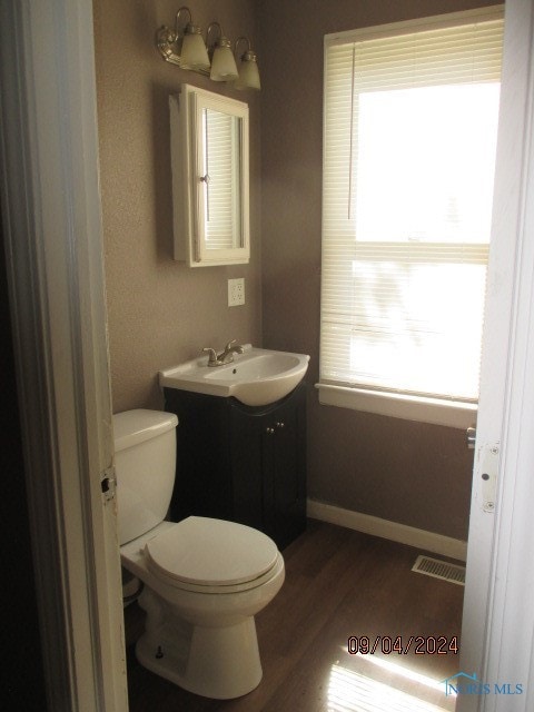 bathroom featuring vanity, toilet, and wood-type flooring