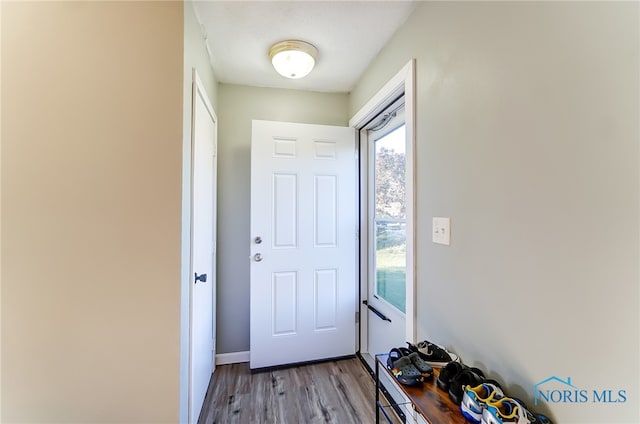 doorway to outside featuring light wood-type flooring