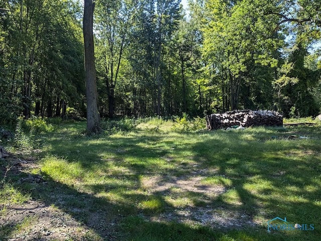 10605 Old State Line Rd, Swanton, OH 43558