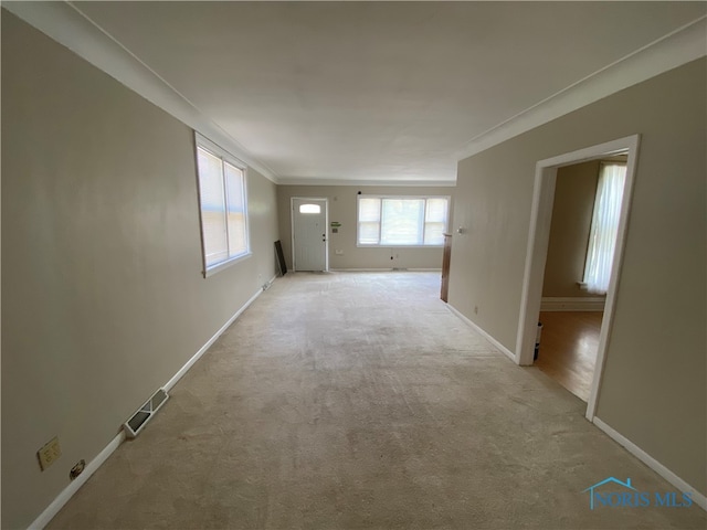 empty room featuring ornamental molding and light colored carpet