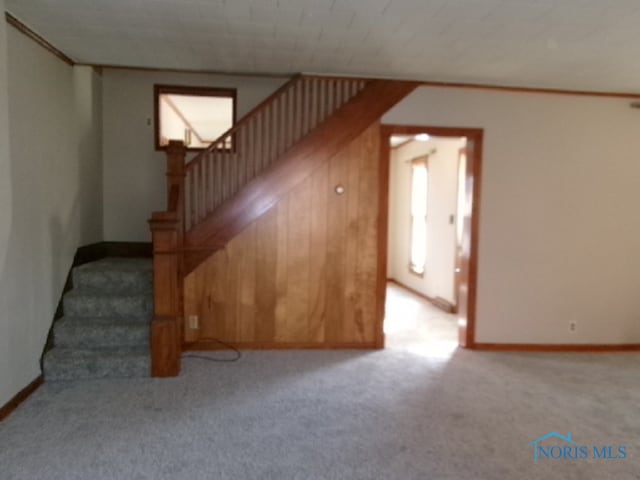 stairway with carpet flooring