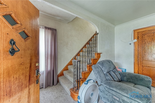 staircase with carpet floors