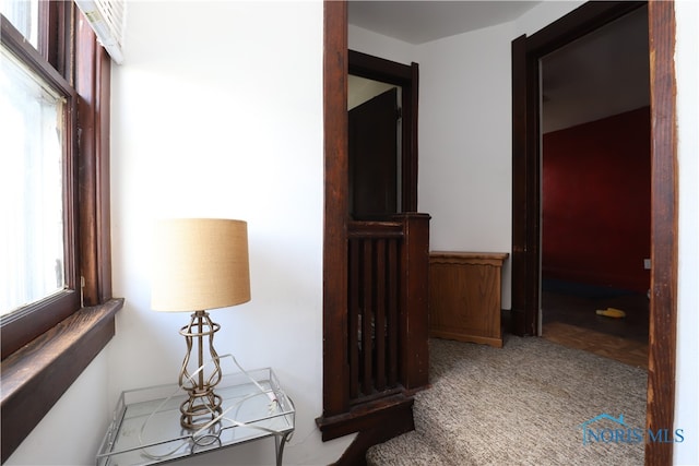 hallway featuring carpet flooring