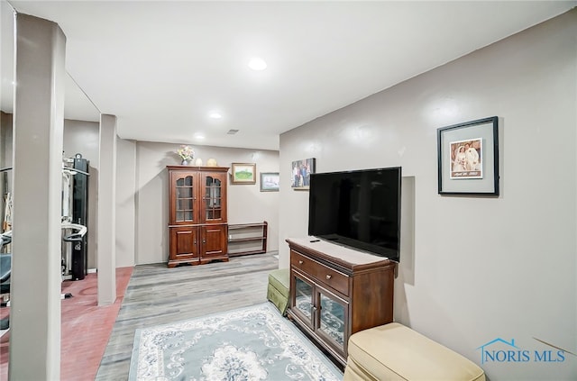 living room featuring light hardwood / wood-style floors