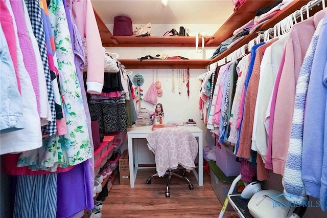 walk in closet with hardwood / wood-style flooring