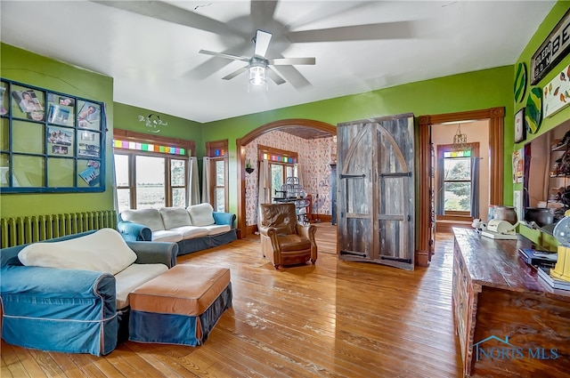 living room with hardwood / wood-style flooring, radiator, plenty of natural light, and ceiling fan