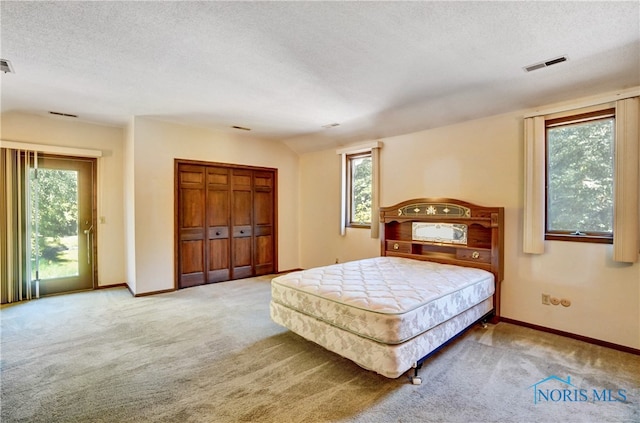 carpeted bedroom with multiple windows, access to outside, a textured ceiling, and a closet