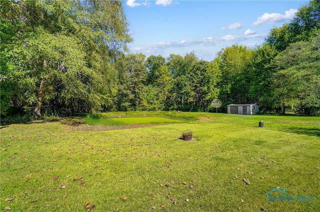 9740 Maumee Western Rd, Monclova, OH 43542 - view of yard featuring an outbuilding and a shed