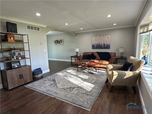 living room featuring crown molding and dark hardwood / wood-style floors