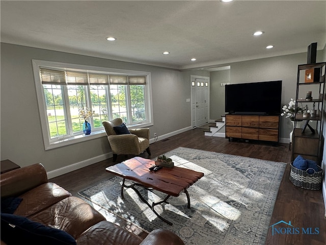 living room featuring dark hardwood / wood-style flooring