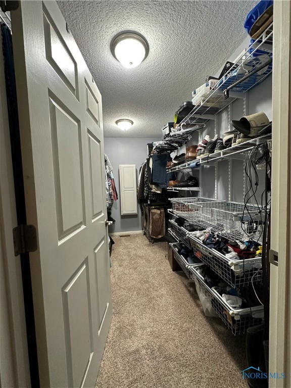 walk in closet featuring carpet flooring