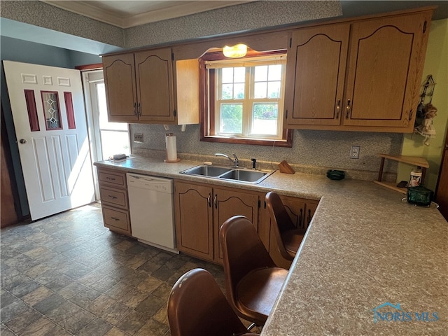 kitchen with dishwasher and sink