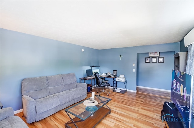 living room with hardwood / wood-style flooring