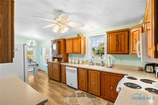 kitchen with light hardwood / wood-style flooring, white appliances, sink, ceiling fan, and a textured ceiling