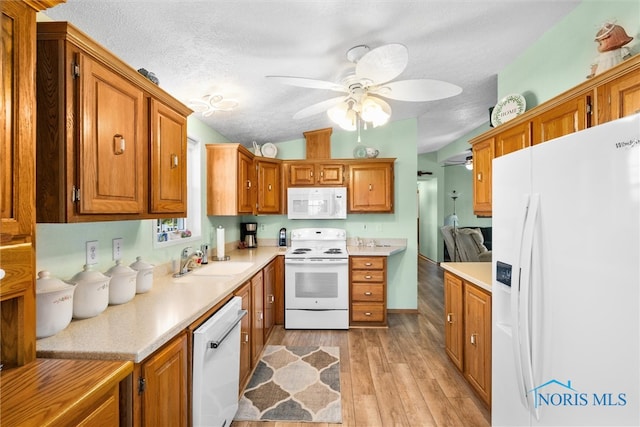 kitchen featuring white appliances, light hardwood / wood-style floors, sink, ceiling fan, and a textured ceiling