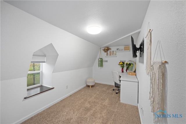 additional living space with lofted ceiling, a textured ceiling, and light colored carpet