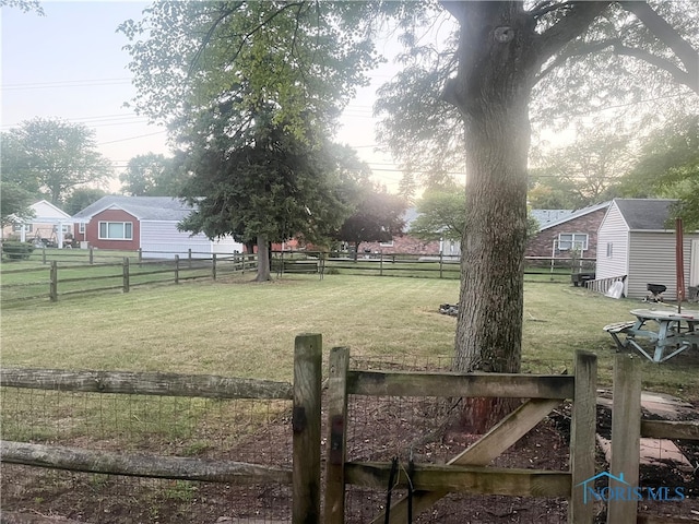 view of yard featuring a storage shed