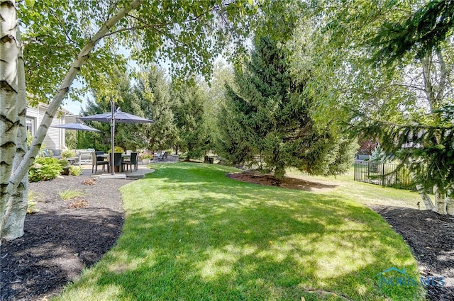 view of yard featuring a patio