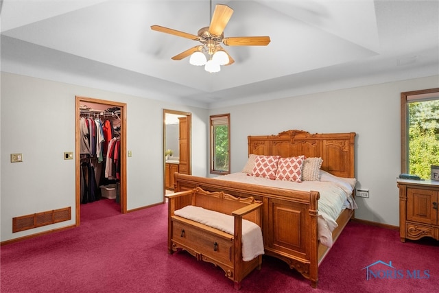 carpeted bedroom featuring a closet, ceiling fan, and a walk in closet