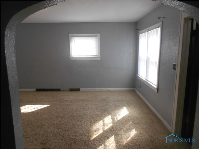 empty room featuring carpet flooring and a wealth of natural light