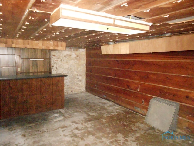 basement with wooden walls