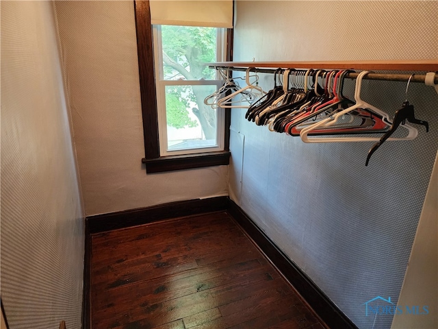 spacious closet with wood-type flooring